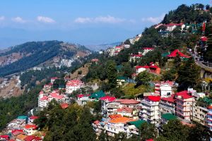 Removal Services in Shimla